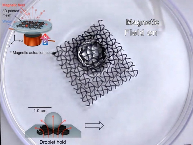 3D-печатные роботы плавают и захватывают предметы 3D-печатные роботы плавают и захватывают предметы