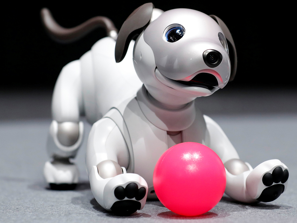 Sony выпускает новую собаку Aibo Robot Sony выпускает новую собаку Aibo Robot
