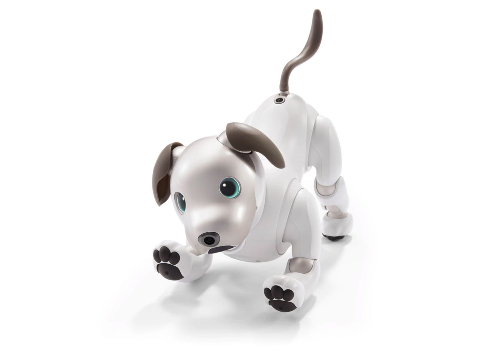 Aibo Robot Dog возвращается в 2018 году Aibo Robot Dog возвращается в 2018 году