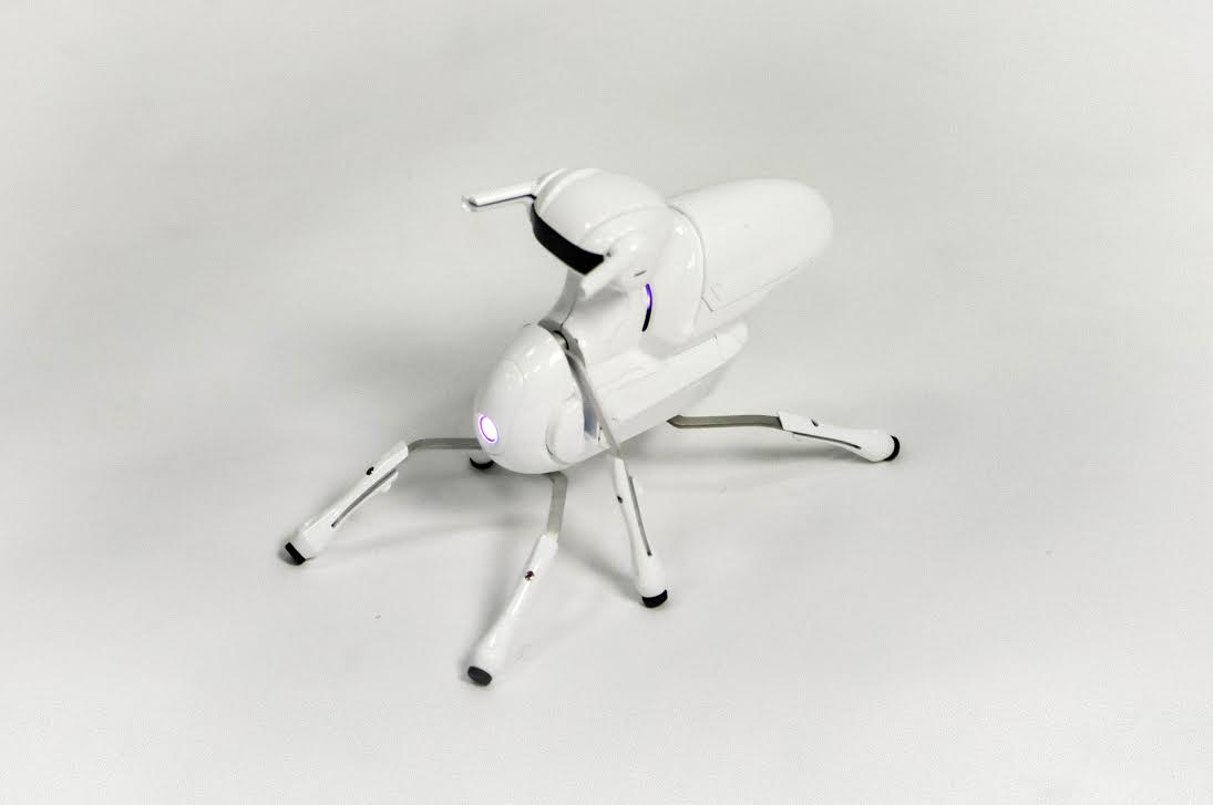 DFRobot представила свой робот Antbo DIY DFRobot представила свой робот Antbo DIY