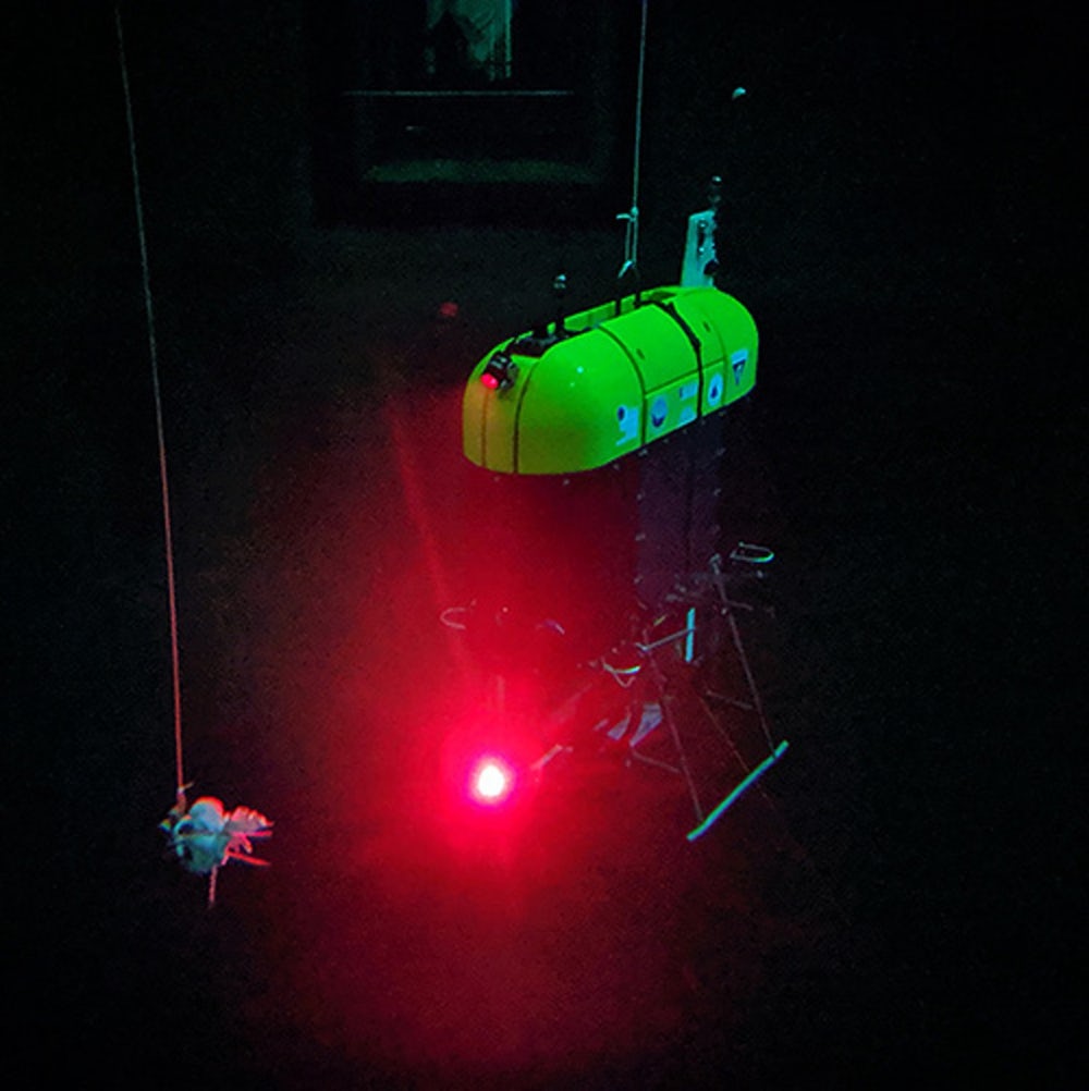 Робот Mesobot для изучения морских регионов завершил полевые испытания Робот Mesobot для изучения морских регионов завершил полевые испытания