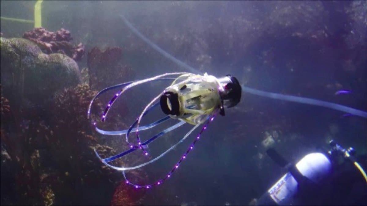 Движется как настоящий кальмар робот под именем Squidbot