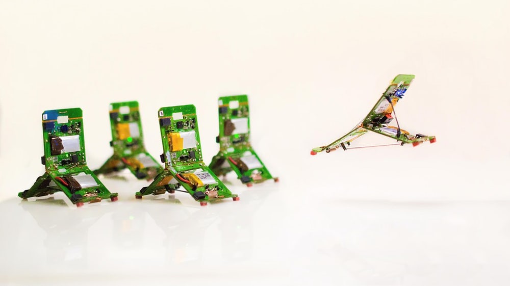 Крошечные вдохновленные муравьями Tribots используют коллективный интеллект Крошечные вдохновленные муравьями Tribots используют коллективный интеллект