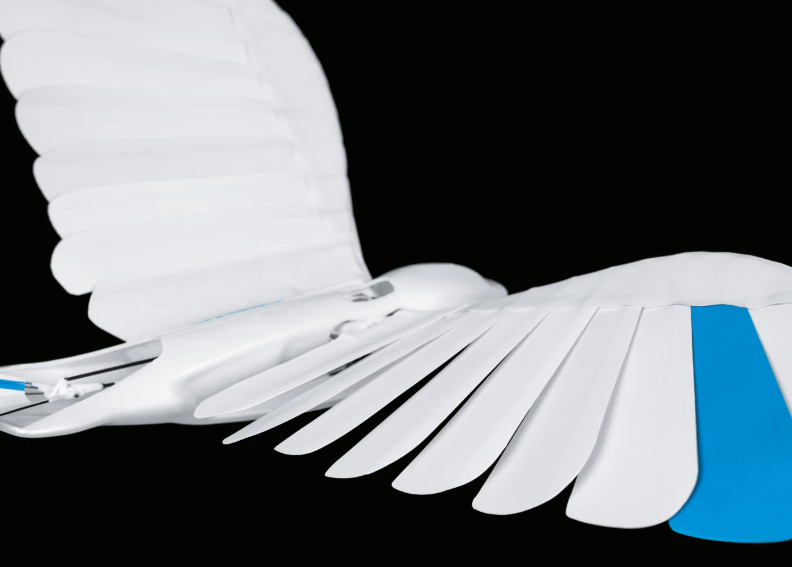 Изящные роботы-стрижи BionicSwifts способны летать Изящные роботы-стрижи BionicSwifts способны летать