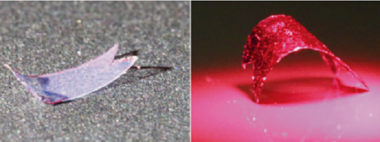 Как помочь машинам ADEPT воспринимать некоторые законы физики Как помочь машинам ADEPT воспринимать некоторые законы физики