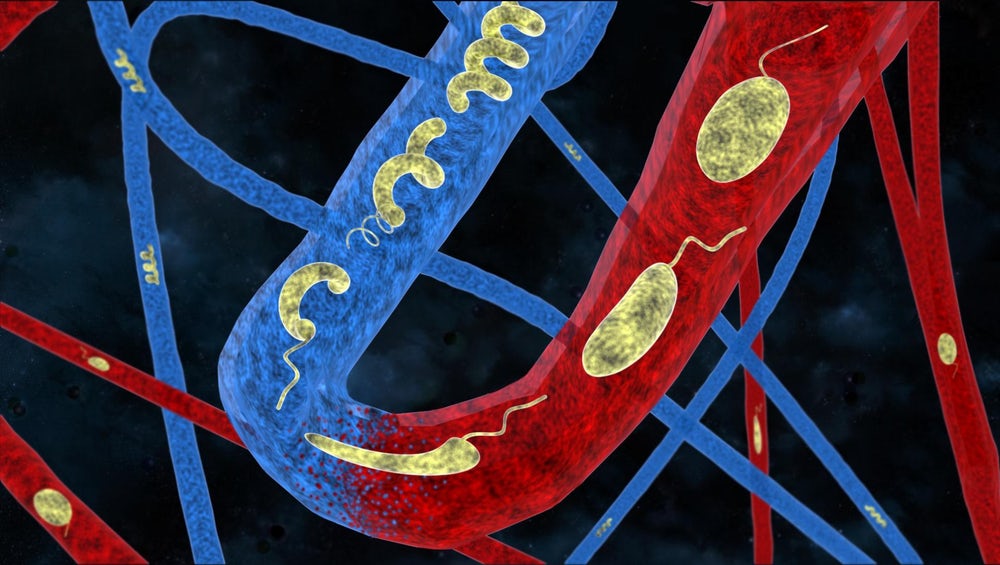Медицинские микро-роботы Медицинские микро-роботы