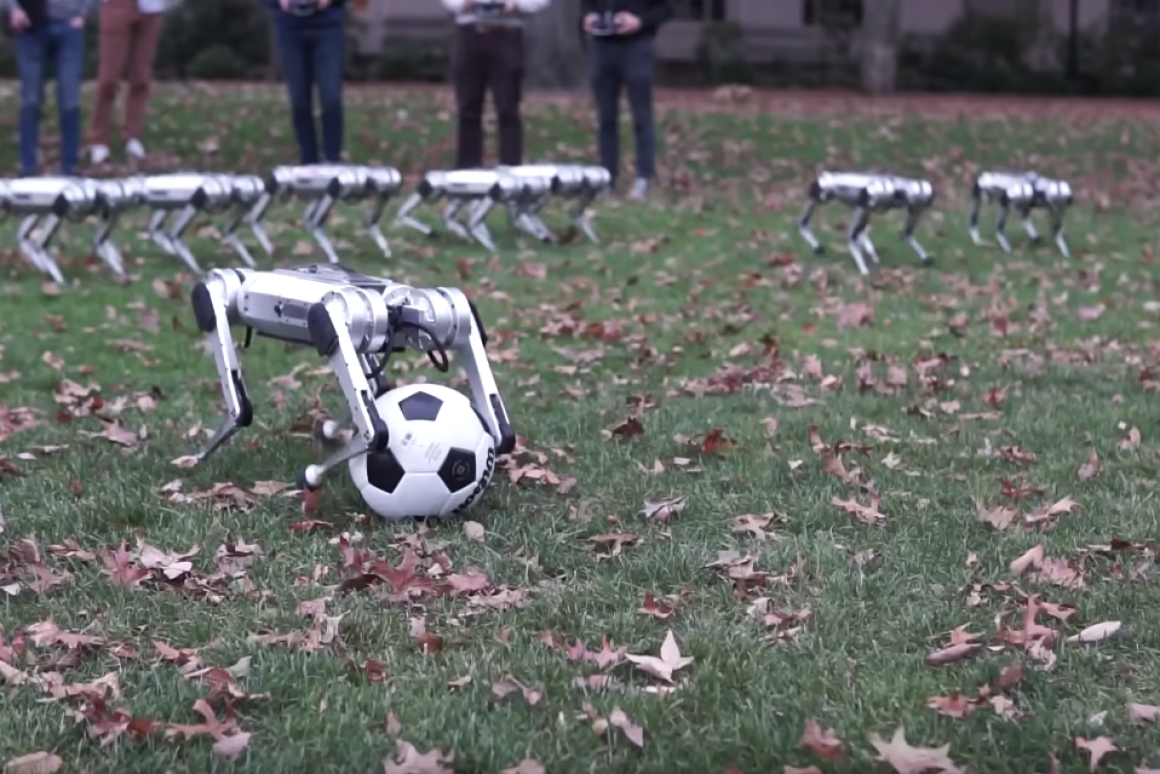 Мини-роботы из Mini Cheetah вышли на улицу Мини-роботы из Mini Cheetah вышли на улицу