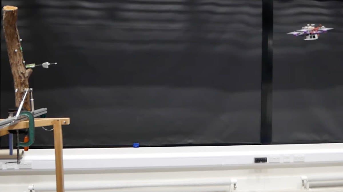 Дрон прикрепляет датчики к деревьям стреляя ими вместе с дротиками Дрон прикрепляет датчики к деревьям стреляя ими вместе с дротиками