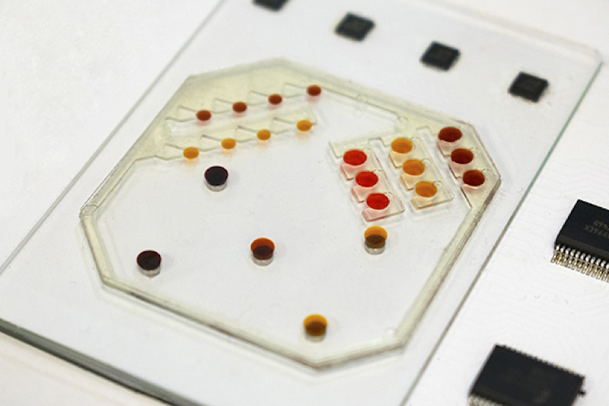 Крошечные намагниченные роботы становятся работниками склада Крошечные намагниченные роботы становятся работниками склада