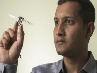 Для создания дронов способных протискиваться даже в самые узкие щели стали прототипом пчелы