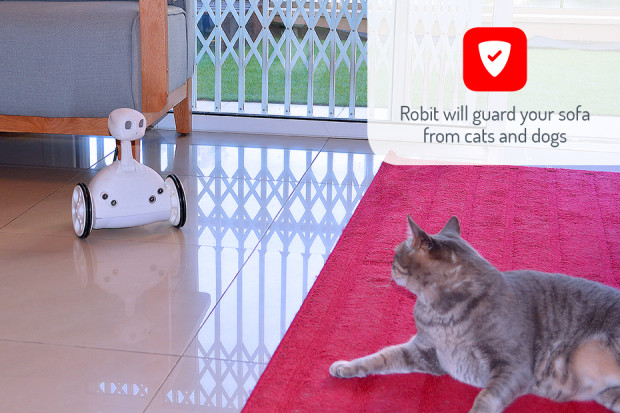 Robit Home Robot использует приложения для помощи во всему дому Robit Home Robot использует приложения для помощи во всему дому
