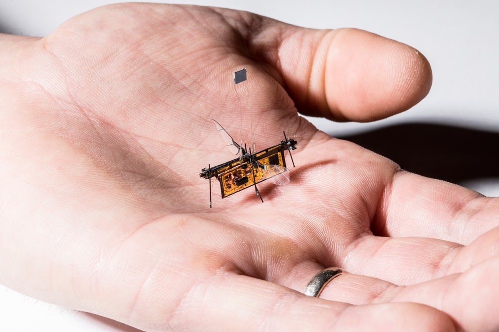 RoboFly - первый микро-робот летающий как насекомое