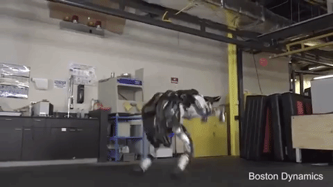 Робот от Boston Dynamics наконец то появиться на рынке Робот от Boston Dynamics наконец то появиться на рынке
