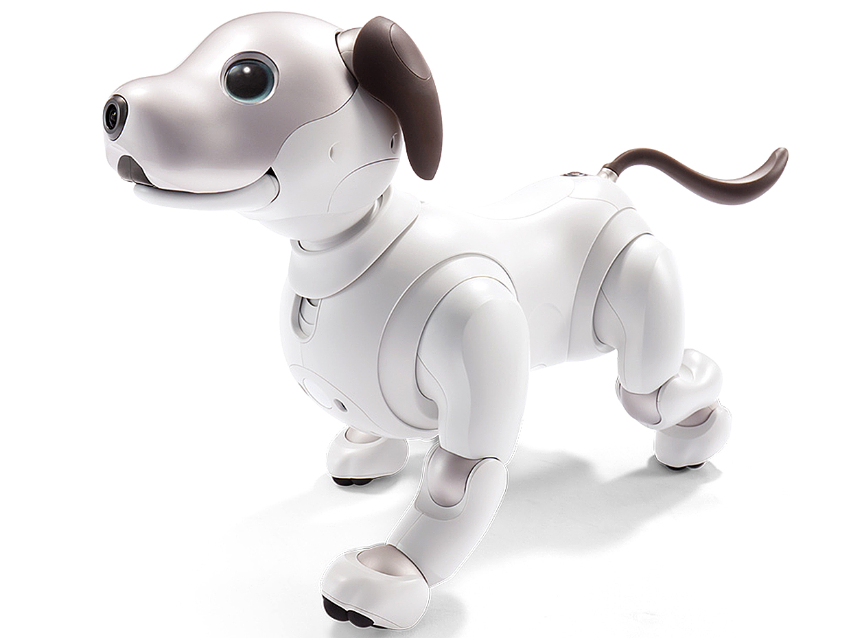 Sony выпускает новую собаку Aibo Robot Sony выпускает новую собаку Aibo Robot