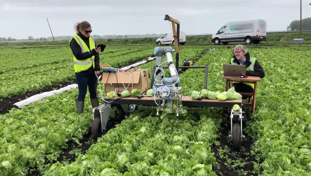 Робот Vegebot Робот Vegebot