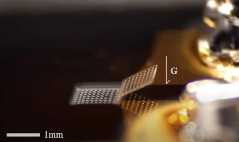 Складные микроботы вдохновленные оригами могут выполнять некоторые задачи если их нагреть Складные микроботы вдохновленные оригами могут выполнять некоторые задачи если их нагреть