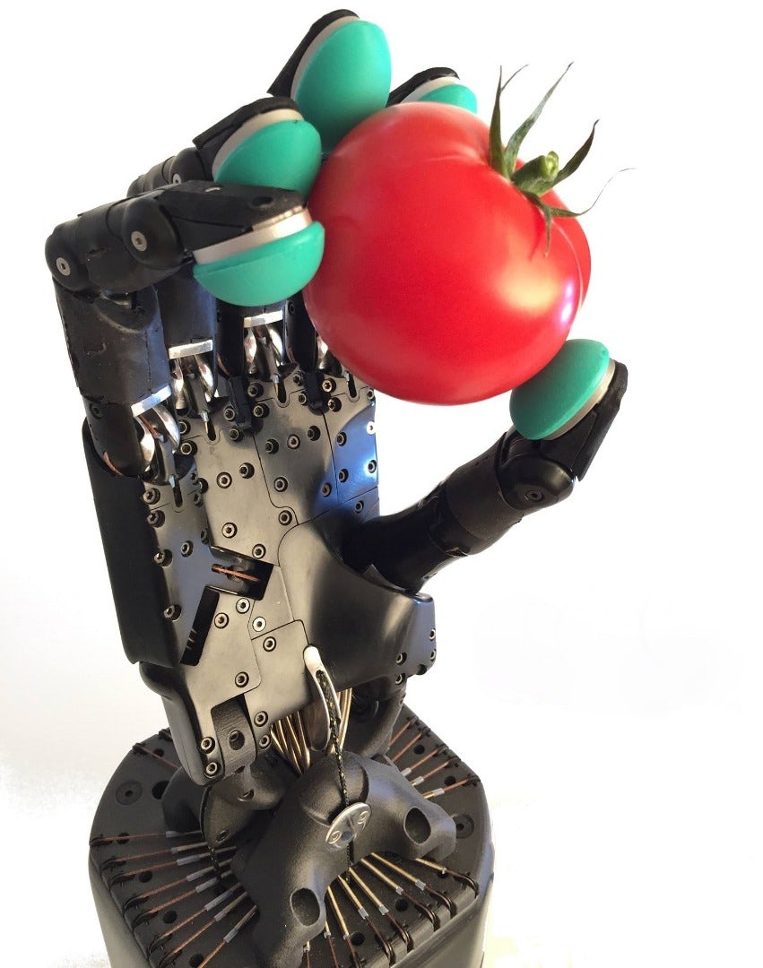 Роботизированная рука Dexterous Hands Роботизированная рука Dexterous Hands